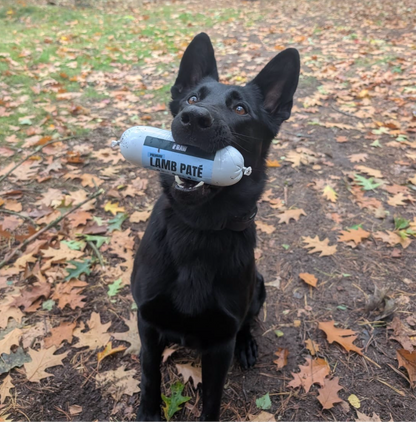 Dog Training Pate - Raw Canine Equipment