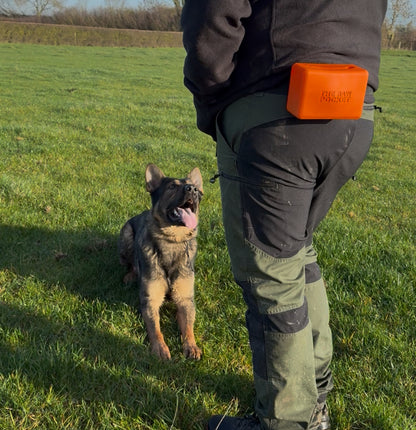 male in a field training a german shepherd with their Amber Raw Pocket filled with Pate
