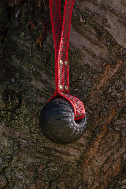 Super Grip Foam Dog Balls
