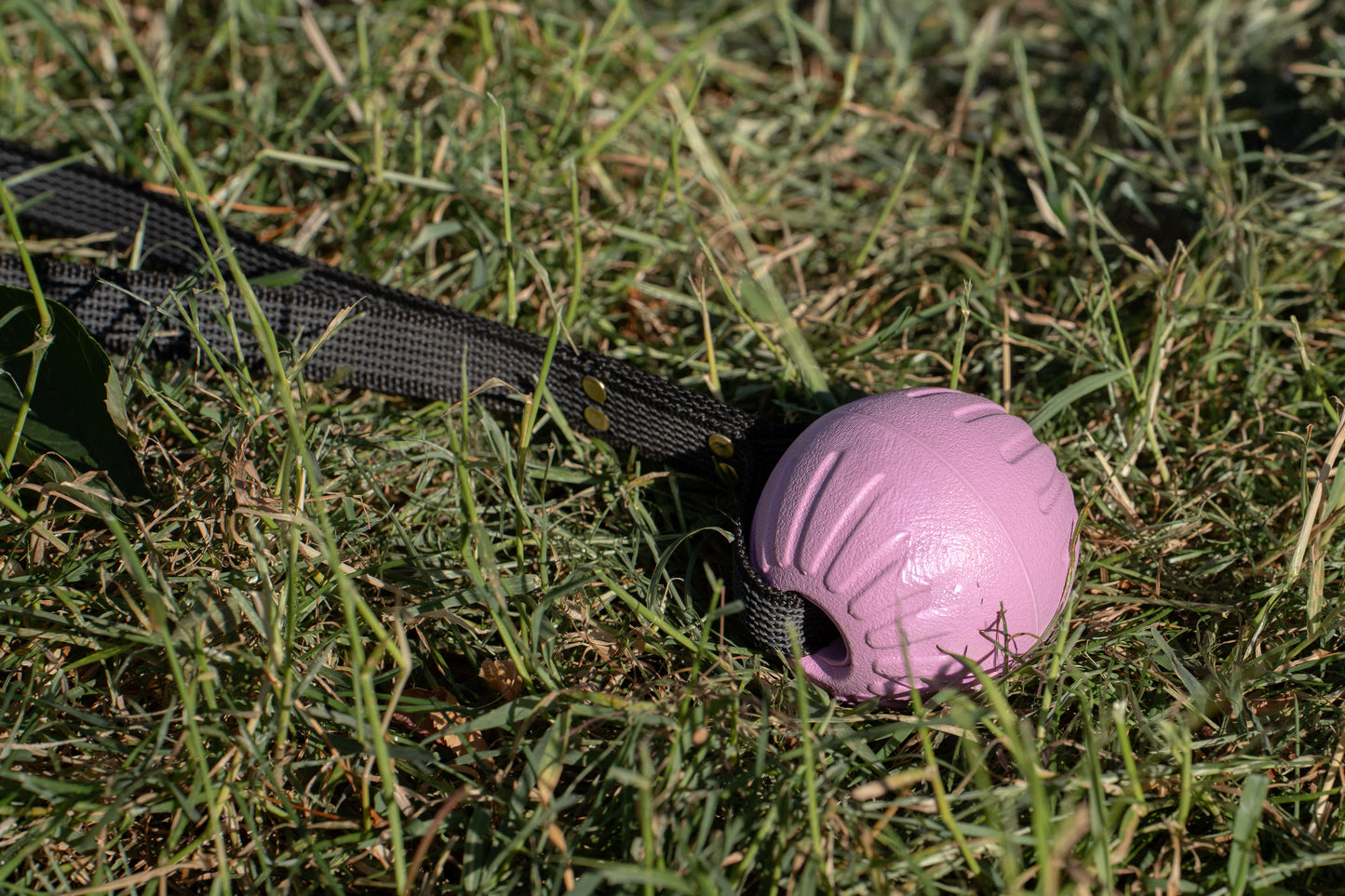 Super Grip Foam Dog Balls