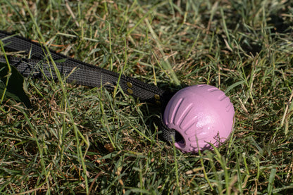 Super Grip Foam Dog Balls
