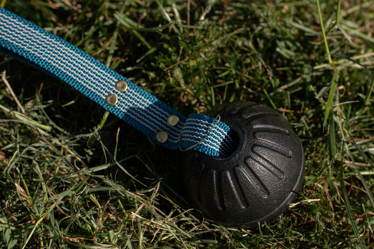Super Grip Foam Dog Balls